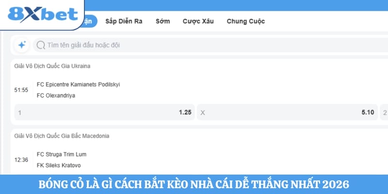Bóng Cỏ Là Gì Cách Bắt Kèo Nhà Cái Dễ Thắng Nhất 2026