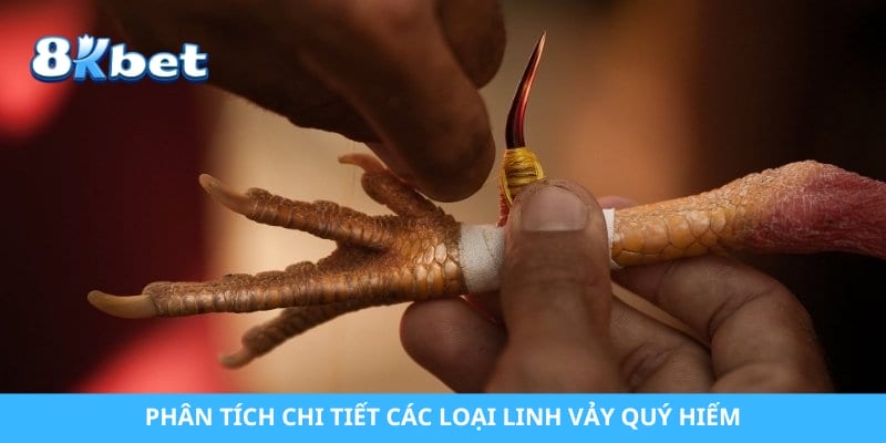 Phân tích chi tiết các loại linh vảy quý hiếm